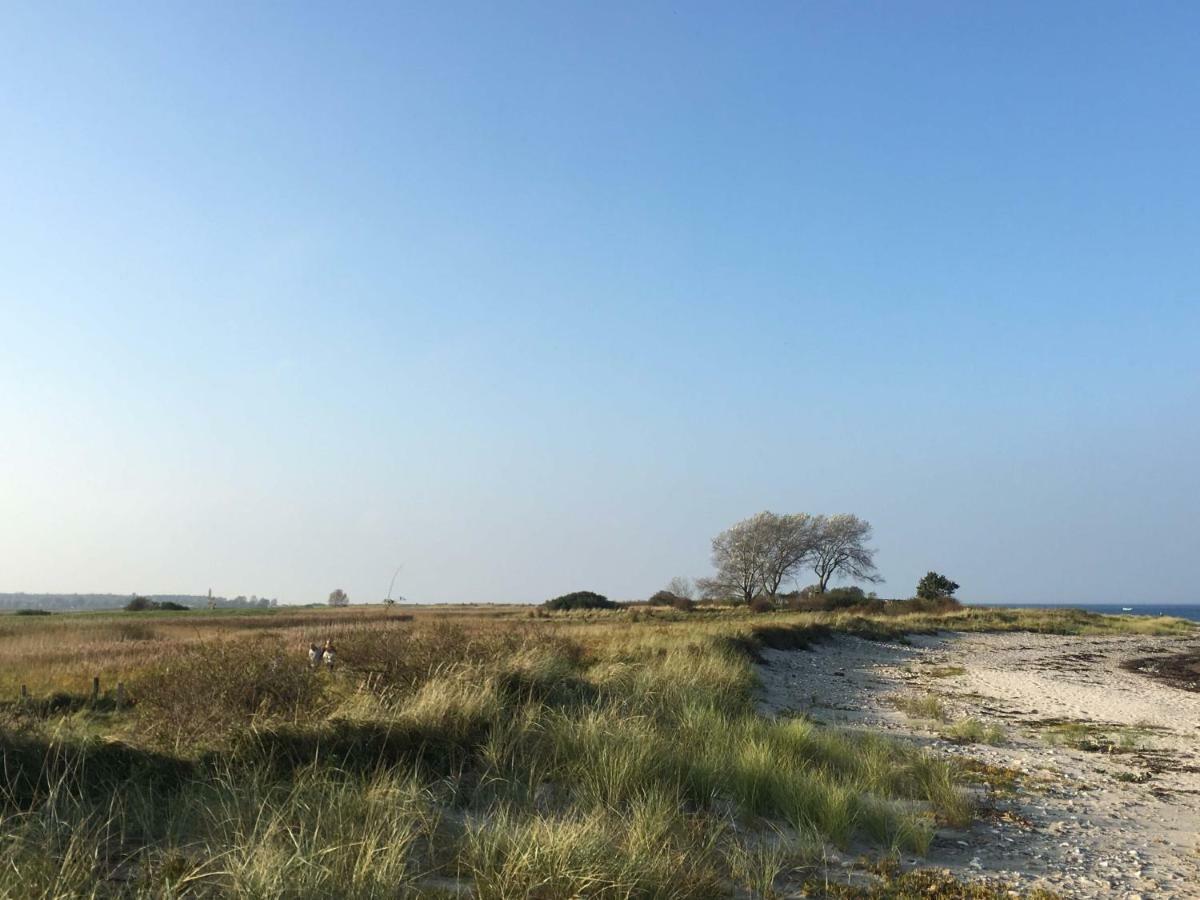 Seesucht-Hohwacht - 110Qm Fewo Mit Toller Lage Am Kiefernweg Luaran gambar